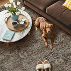 GENIMO 6x9 Area Rug Machine Washable Boho Rug - Image 3