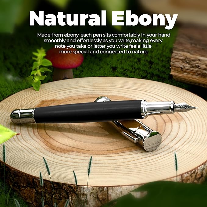 WEMATE Fountain Pen Set, Fine Nib - Image 3