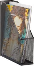 Relaxdays Stand Metal Mesh Upright Lever Arch File A4 to C4, Archive Box, Eyelets For Wall Mounting, Document Holder, Metal, Black, 31.5 x 7.2 x 25 cm