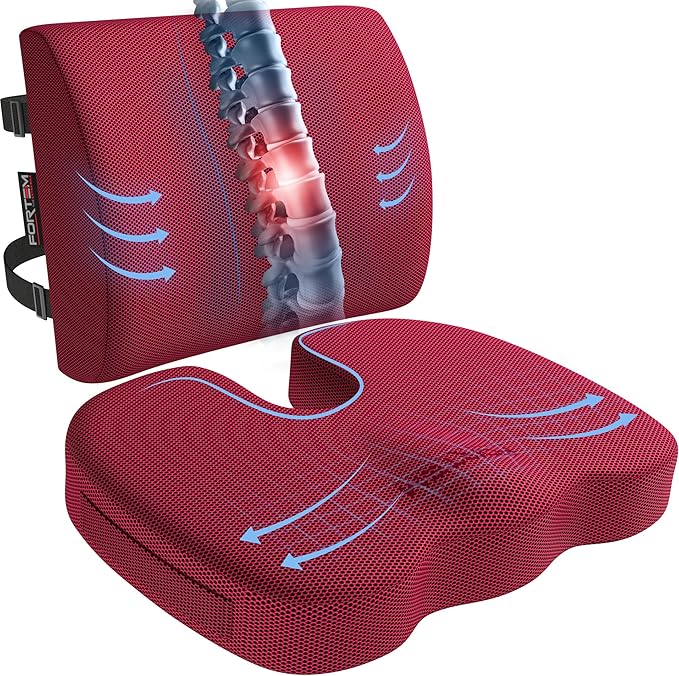 FORTEM Seat Cushion, Office Chair Cushion, Lumbar Support Pillow by FORTEM