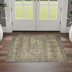 GENIMO 2x3 Area Rugs for Living Room, Machine Washable Non Slip Vintage Rugs - Image 3