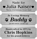 Personalized Name Plates, Stainless Steel Trophy Plates Engraved, Custom Name by Caramel
