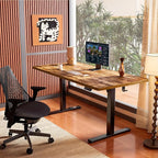 ErGear Height Adjustable Electric Standing Desk, 40 x 24 Inches Sit Stand up - Image 2