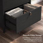 Bush Home Salinas 2 Drawer Lateral File Cabinet in Vintage Black, Home Office Storage Solution, Organizer with Drawers for Workspace, Filing Unit