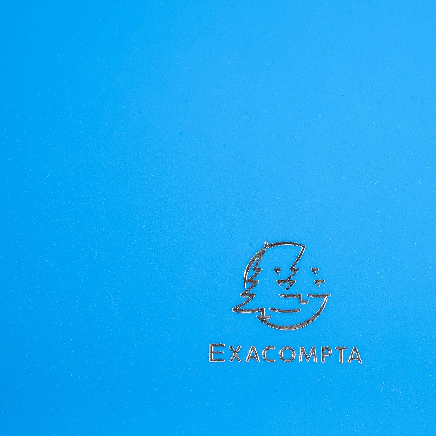 Exacompta - Ref 85872E - Iderama Collection - Semi-Rigid Display Book - 240 x 320mm in Size, Suitable for A4 Documents, 40 Pockets, 0.5mm Polypropylene - Light Blue