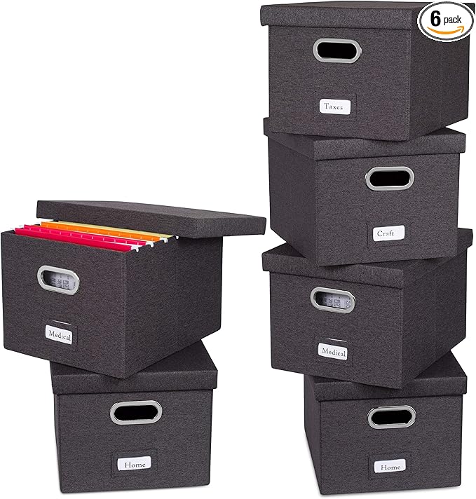 Internet's Best Collapsible File Storage Organizer by BIRDROCKHOME