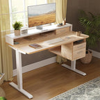 FEZIBO Electric Standing Desk 48 x 24 Inch by FEZIBO