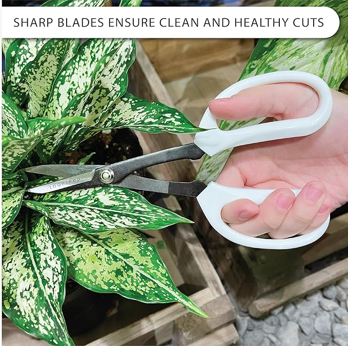 LOOPSEED Precision Gardening Scissors Plant Trimming Pruning Shears Garden - Image 6