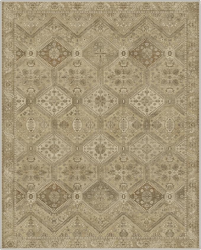 GENIMO Area Rug 2x3 Doormat, Machine Washable Low Pile Rugs, Small Retro - Image 4