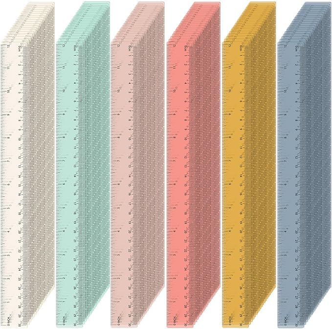 ForraFun 120 Pcs 12 Inch Plastic Ruler Bulk Colorful Transparent Ruler by Unknown