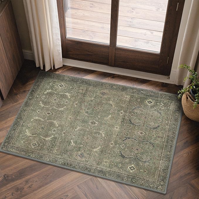 GENIMO 2x3 Area Rugs for Living Room, Machine Washable Non Slip Vintage Rugs - Image 2