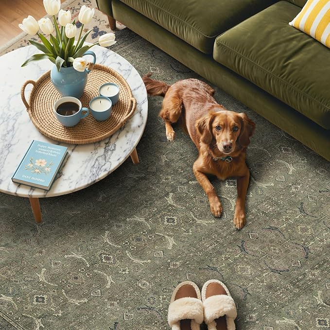 GENIMO 6x9 Area Rugs for Living Room, Machine Washable Non Slip Vintage Rugs - Image 3