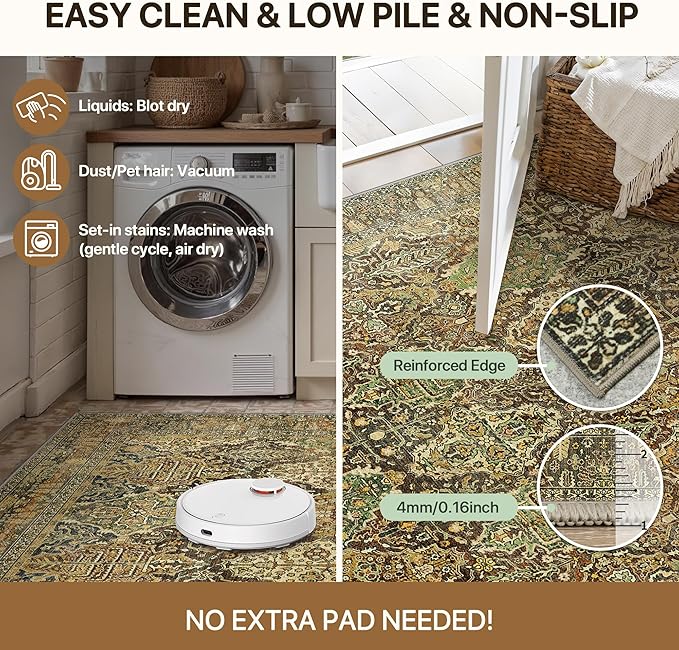 GENIMO Area Rug 2x3 Doormat, Machine Washable Low Pile Rugs, Small Retro - Image 6