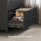 LITTLE TREE 2 Drawer File Cabinet - Image 7
