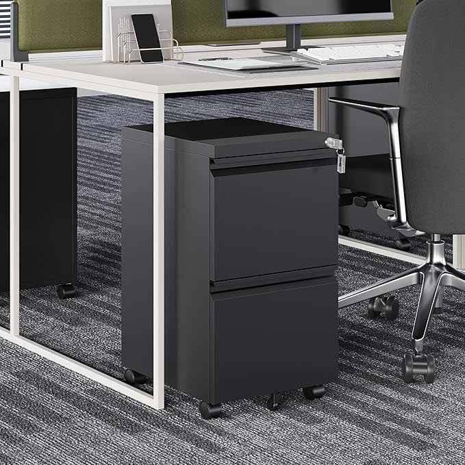Fesbos 2 Drawer Vertical File Cabinet - Image 2