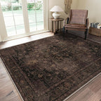 GENIMO 5x7 Area Rugs for Living Room, Machine Washable Rug, Non Slip Indoor by GENIMO