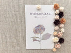 Seven YJ.Push Pins 24 Pcs, Decorative ThumbTacks - Image 6