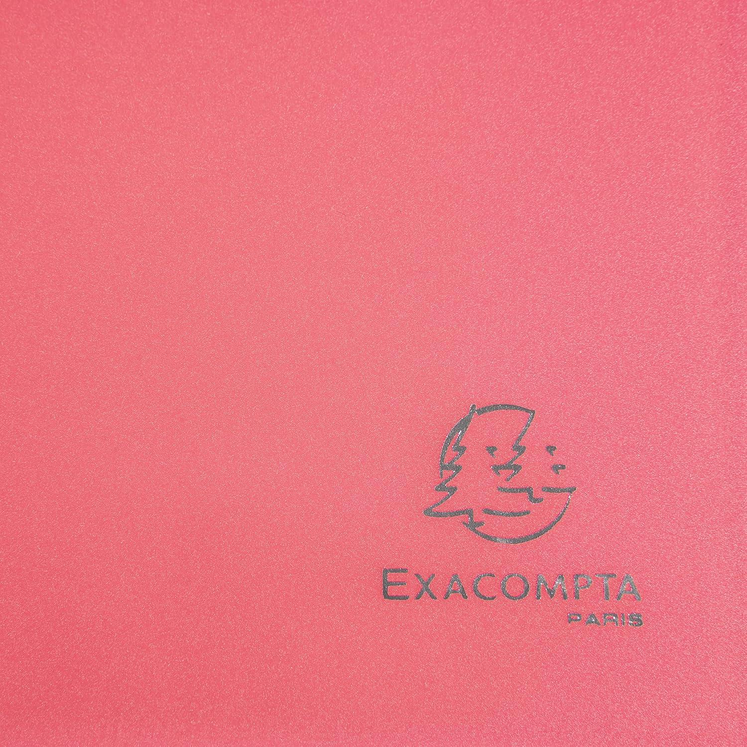 Exacompta 85465E Chromaline A4 Opauque PP Display Book, 40 Pockets, Red