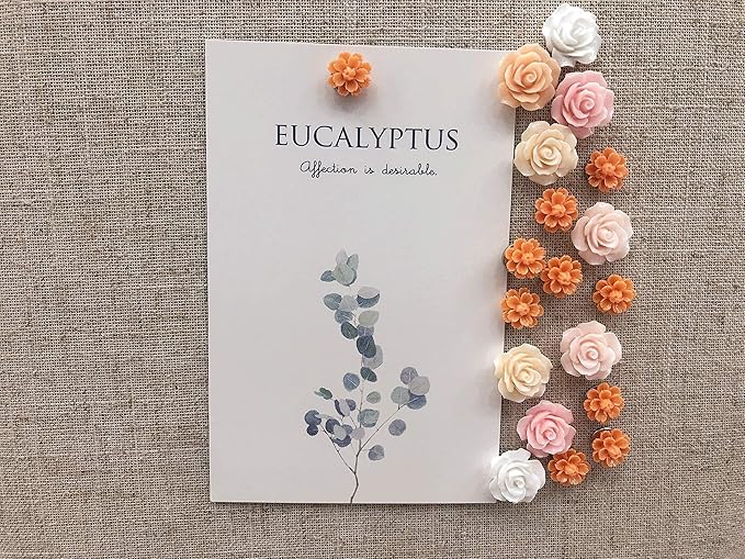 Temoyj Push Pins 24 Pcs, Decorative ThumbTacks - Image 5